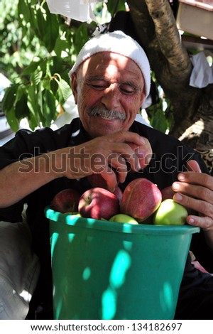 GOLAN HEIGHTS - AUG 23:Druze man picks up apples on August 23 2009 Golan Heights, Israel.About 20,000 Druze Muslims live there and Israel gave them citizenship though most rejected it.
