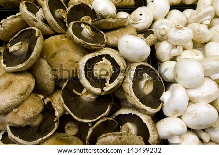 Fresh mushrooms on display in farmers market.