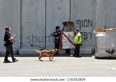 KEREM SHALOM, ISR - AUG 25:Israeli detection dog on Aug 25 2010.Detection dogs are able to discern individual scents even when the scents are combined or masked by other odors.