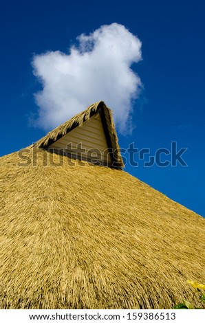 Roof of a small pacific island hut against blu sky  in Rarotonga Cook Islands.