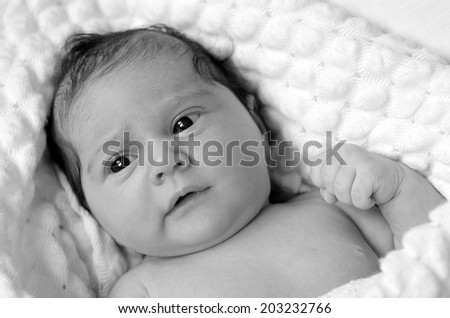 Portrait of a little newborn baby (4 week old) laying on soft blanket, awake. copyspace (BW)