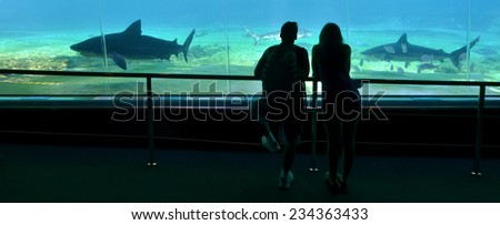 GOLD COAST, AUS -  NOV 06 2014:Couple visit at Sharks bay in Sea World Gold Coast Australia.It is the world\'s largest man-made lagoon system for sharks.