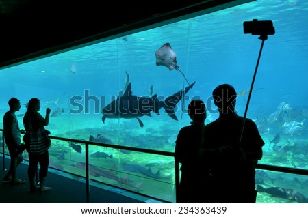 GOLD COAST, AUS - NOV 11 2014:Visitors take selfie photo with Sharks in Sea World .Over 1 Million selfies are taken each day. Instagram has over 53 million photos tagged with the hash tag #selfie.