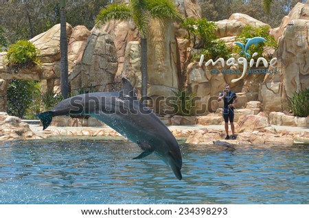 GOLD COAST, AUS -  NOV 06 2014:Dolphin show in Sea World Gold Coast Australia.It\'s sea animals theme park that promote conservation education of sea and marine wildlife.