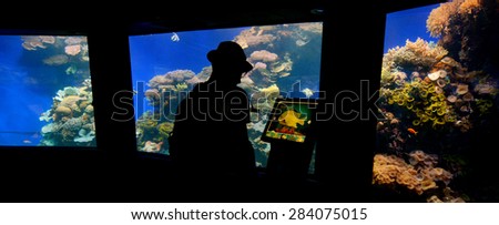 EILAT, ISR - APRIL 16 2015:Visitor in Coral World Underwater Observatory aquarium in Eilat Israel.  It is the biggest public aquarium in Israel, and it hosts over 800 species.