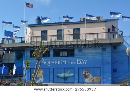 SAN FRANCISCO, USA - MAY 19 2015:Aquarium of the Bay in San Francisco, California.The Aquarium is focused on local aquatic animals from the San Francisco Bay and neighboring waters.