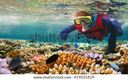 Australian person snorkeling scuba diving with life jacket vest and Lycra protection suit at the Great Barrier Reef in the tropical far north of Queensland, Australia. Real people. Copy space ストックフォト © 