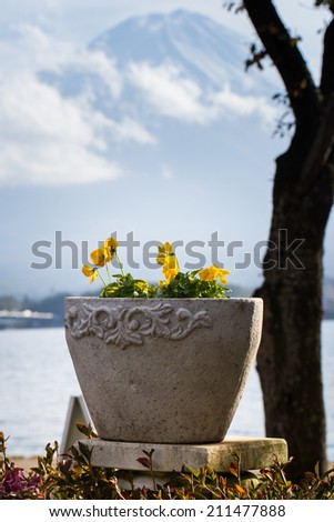 Close up of flower pot with fuji mountain in a background