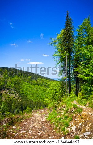View from trail to the Pilsko Peak from Beskidy mountains, border of Poland and Slovakia