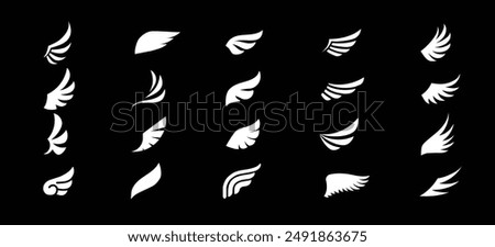 Set of white wings icons. Wings badges. Collection wings badges. Vector illustration.