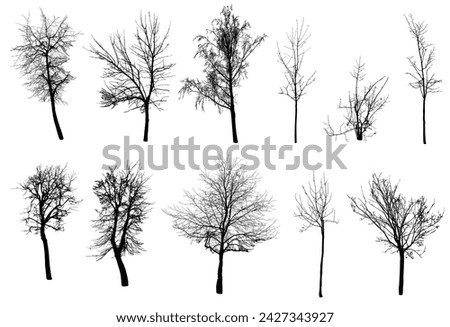 Bare Trees Clipart | Free download on ClipArtMag