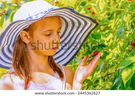 Similar – Mädchen pflückt im Garten Himbeeren vom Strauch