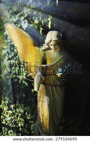 angel in the sunlight (antique statue)