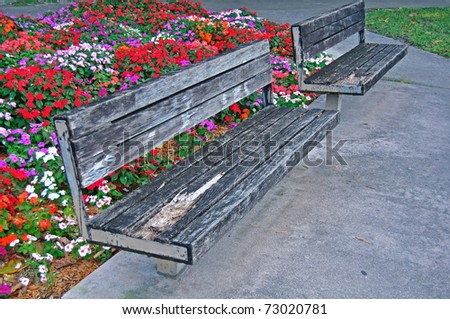 Old Park Benches in Miami with colorful flowers in background