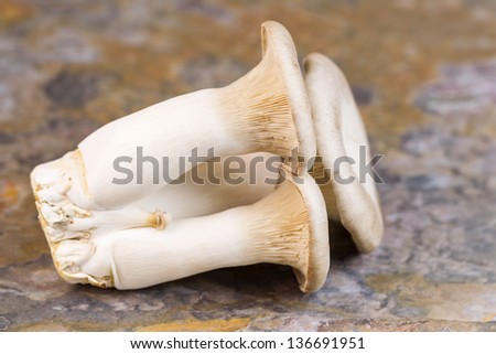 Horizontal photo of a fresh king trumpet mushroom on natural stone background