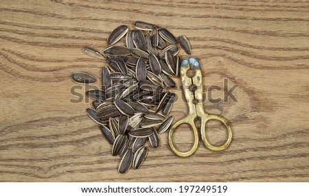 Horizontal top view, photo of sunflower seeds and brass hand tool to unshelled seeds on aged wood