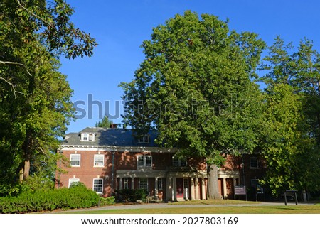 Similar – Image, Stock Photo Bridge + visitors at the castle in the pond