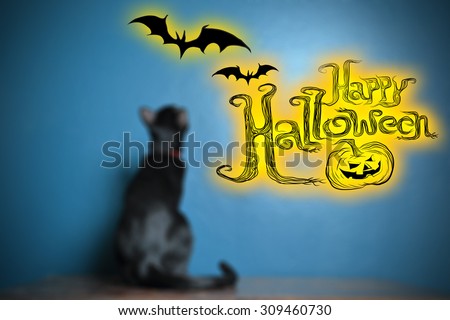 Blurry image of black cat on dark blue background with graphic wording \