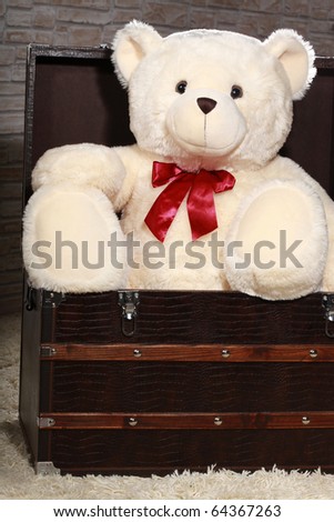 Big white teddy bear waiting in wood chest on attic