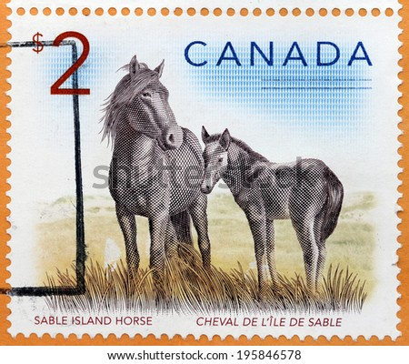 CANADA - CIRCA 2005: A stamp printed by CANADA shows The Sable Island Horse - a type of small feral horse found on Sable Island, an island off the coast of Nova Scotia, Canada, circa 2005