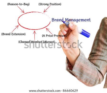 hand draws drawing brand manager business marketing plan on a whiteboard