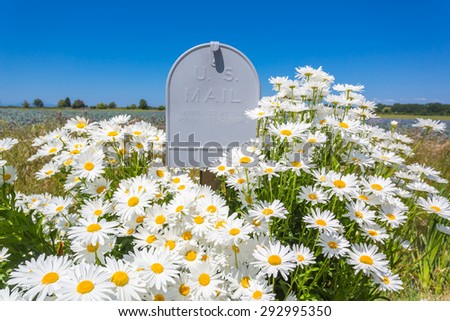 US mail mailbox surrounded with wild flowers. Daisies on the filed.