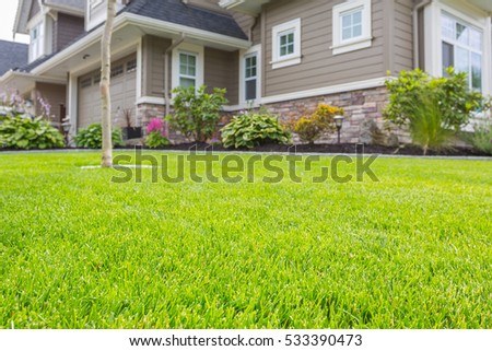Nicely trimmed front yard with green grass in front of a luxury house.  Foto d'archivio © 