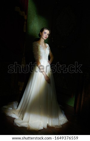 Similar – Image, Stock Photo Magnificent pensive young bride in white lace dress looking at camera and pondering