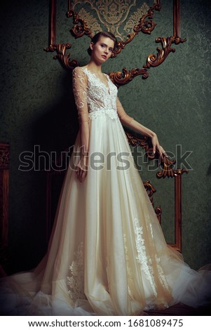 Image, Stock Photo Magnificent pensive young bride in white lace dress looking at camera and pondering