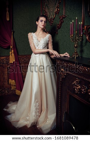 Similar – Image, Stock Photo Magnificent pensive young bride in white lace dress looking at camera and pondering