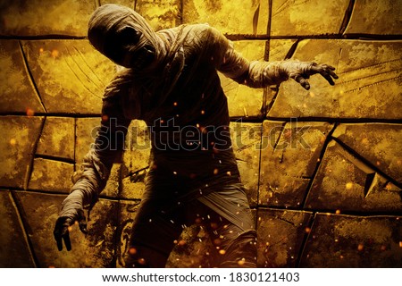 Scary evil mummy climbs out of an ancient Egyptian tomb. Halloween. Ancient Egyptian mythology. Stock fotó © 