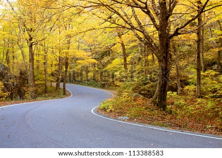 Winding road through fall foliage in Mt. Mansfield in Stowe mountain ski resort, Vermont, US
