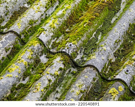 Look at the moss on the roof.