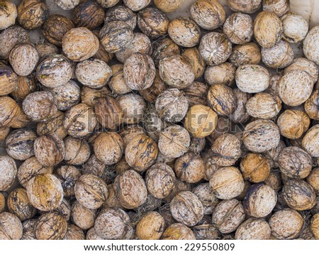 Fresh organic natural walnuts texture background from above
