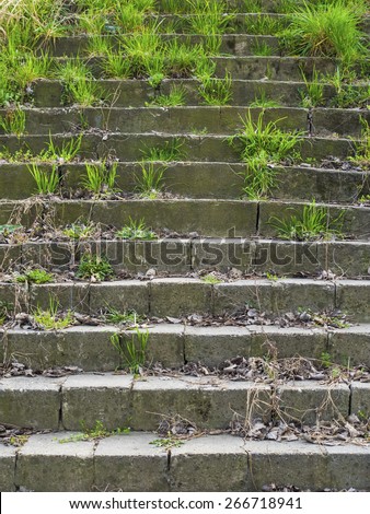 Abandoned concrete steps covered with grass