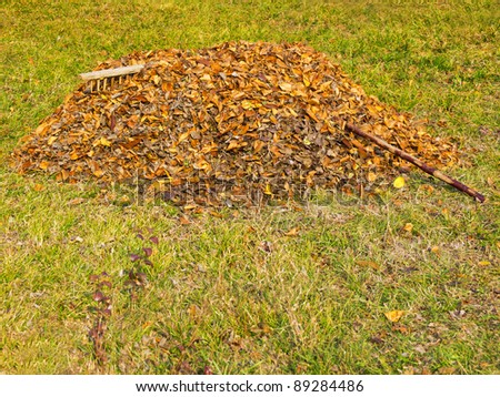 Autumn leaves collected on a pile of special tools