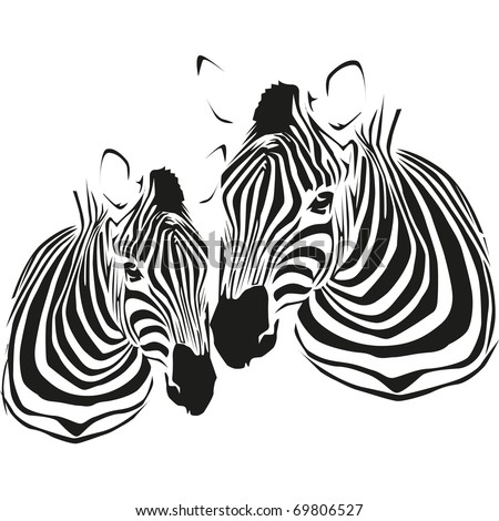 Vector Drawing In Black And White Front View Of A Zebra - 69806527 ...