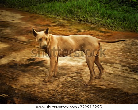 Original watercolor painting of old dog, art background HDR illustration
