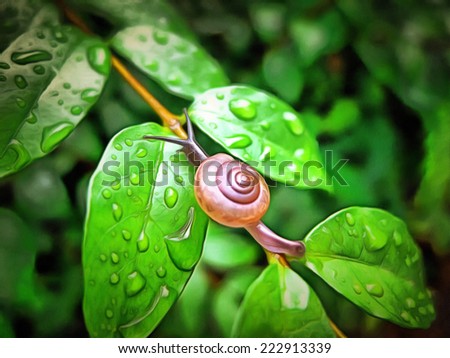 Original watercolor painting of small brown snail in nature, art background illustration