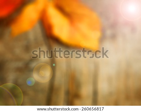 abstract blur background for web design,Autumn leaf on wooden table colorful background, blurred, wallpaper ,illustration
