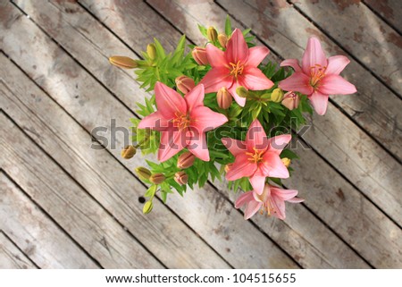 Asiatic Lily with blooms and buds with light streaks on a wooden background