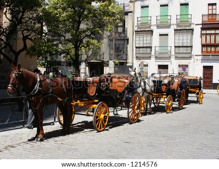 horses and carriages for sightseeing in Seville, Spain