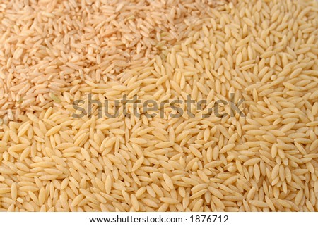 variety of whole grain pasta