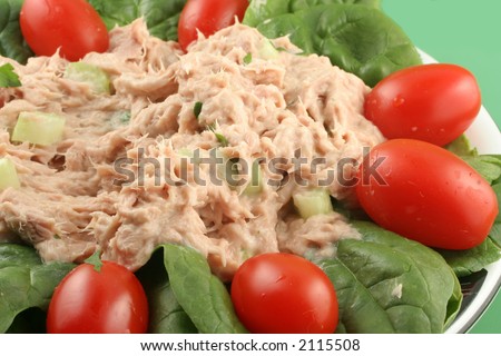 healthy lunch of tuna salad with cherry tomatoes and spinach