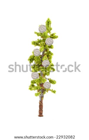 small miniature tree growing silver dollars isolated on a white background... guess money does grow on trees