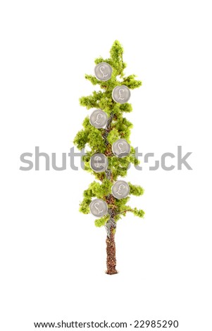 small miniature tree growing silver British pound symbol  coins isolated on a white background... guess money does grow on trees