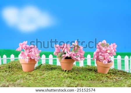 miniature pots and pink spring flowers on grass with fence and blue sky