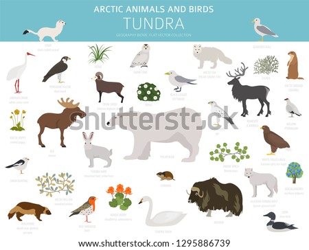 Tundra Clipart | Free download on ClipArtMag