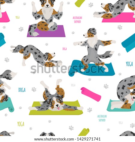 Yoga dogs poses and exercises. Australian shepherd seamless pattern. Vector illustration