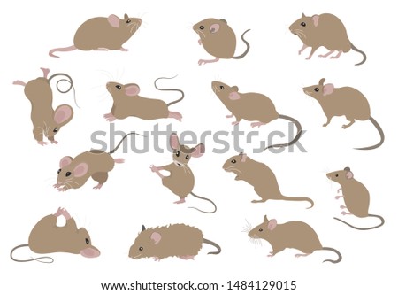 Pictures Of Cartoon Mice | Free download on ClipArtMag